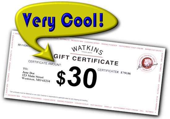 How to Become a Watkins Consultant